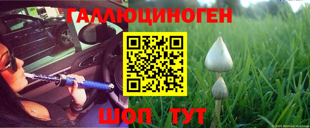 Псилоцибиновые грибы Cubensis  Вход с VPN  Грязи 